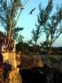 JAMAJKA VÝLETY NEGRIL